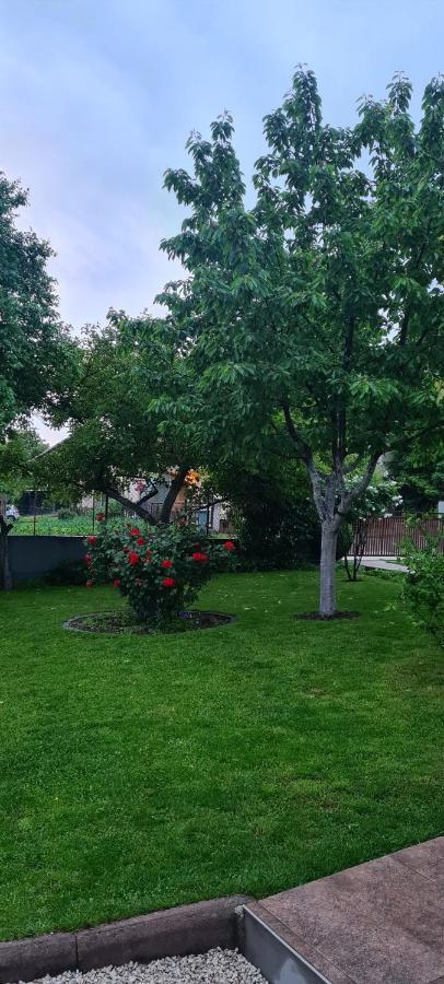 Prenociste Dubravka Apartman Livno Kültér fotó